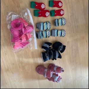 Small dog socks and shoes